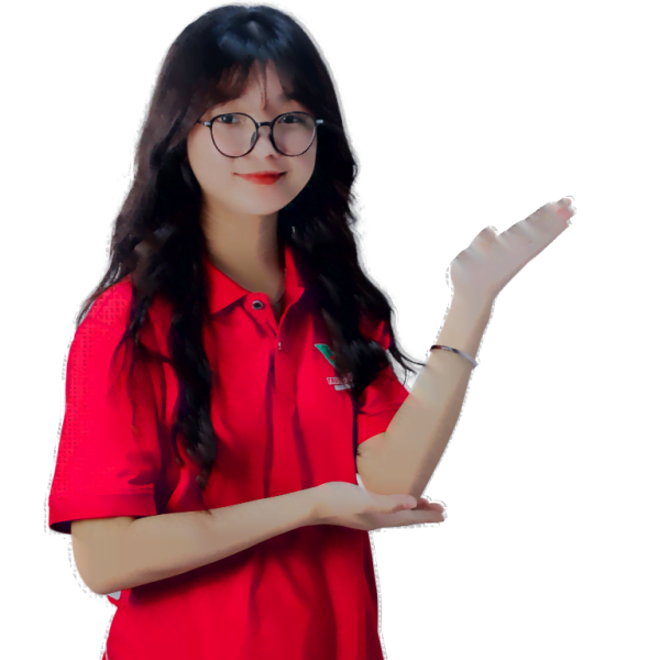 Section Illustrator 1